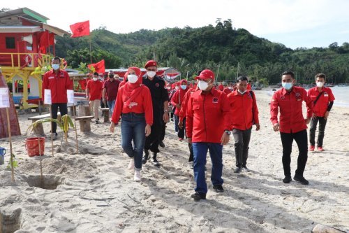 gerakan menanam Pohon mangrove