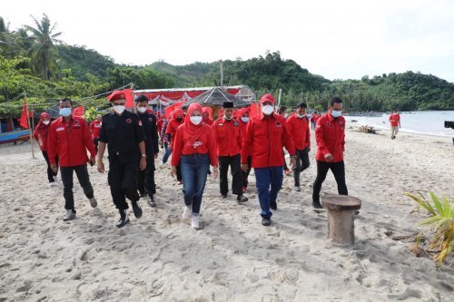 gerakan menanam Pohon mangrove