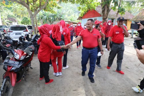 gerakan menanam Pohon mangrove