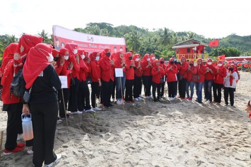 gerakan menanam Pohon mangrove