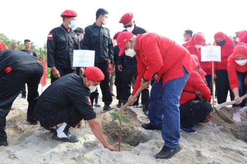 gerakan menanam Pohon mangrove