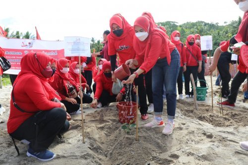 gerakan menanam Pohon mangrove