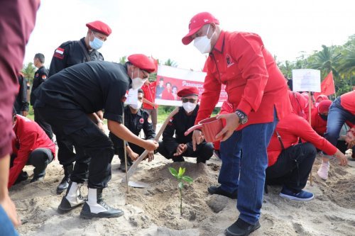 gerakan menanam Pohon mangrove