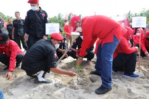 gerakan menanam Pohon mangrove