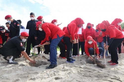 gerakan menanam Pohon mangrove