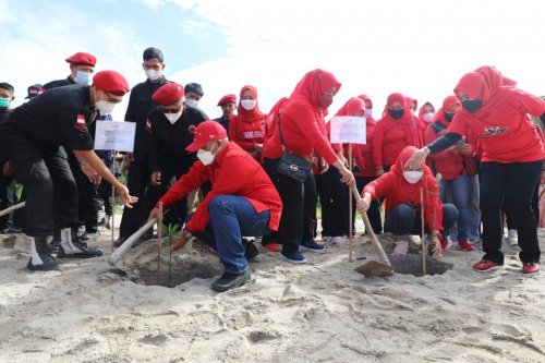 gerakan menanam Pohon mangrove