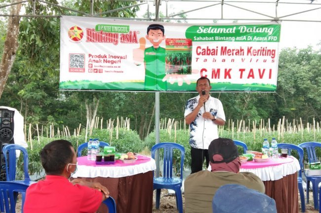 Anggota Fraksi PDI Perjuangan  Dapil 3 (Penengahan,Bakauheni,Ketapang,Sragi) Bapak Taman Panen cabai merah bersama petani di desa karang sari kecamatan ketapang