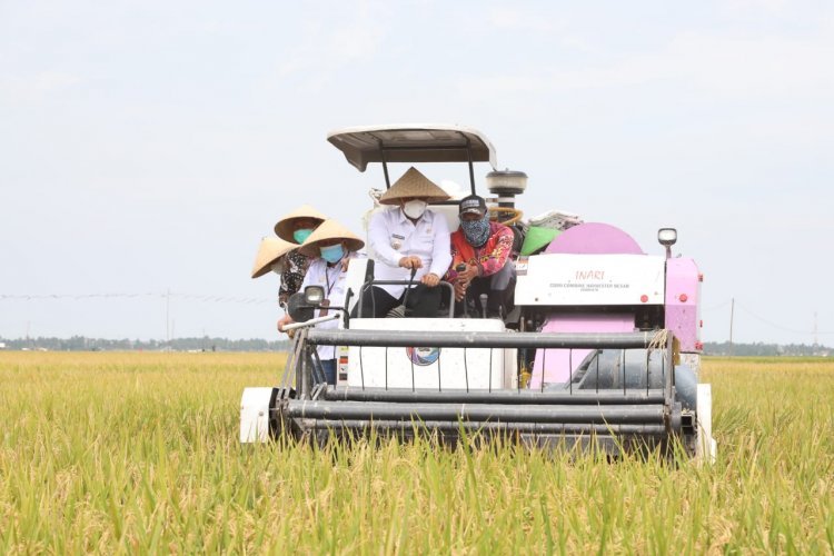 Bupati Kabupaten Lampung Selatan H. Nanang  Ermanto  Menghadiri bimtek dan panen bersama di Kecamatan Sragi kabupaten Lampung Selatan