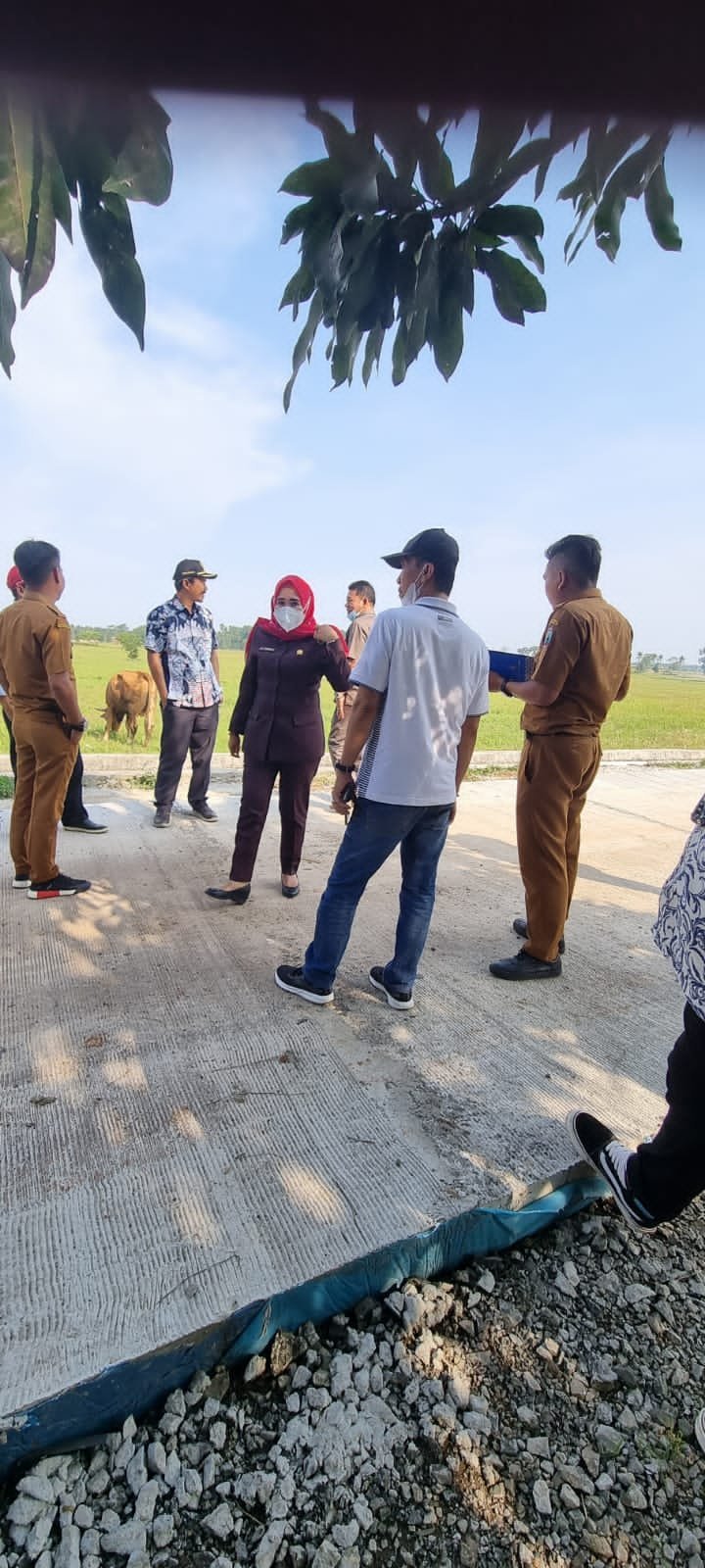 Komisi III DPRD Lamsel Apresiasi pemkab dan ingatkan Pihak Rekanan Serta PU-PR