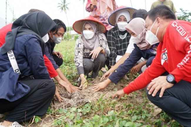 Bunda Hj. Winarni Nanang Ermanto Melakukan Penanaman Pohon Bersama Mahasiswa IBI Darmajaya 