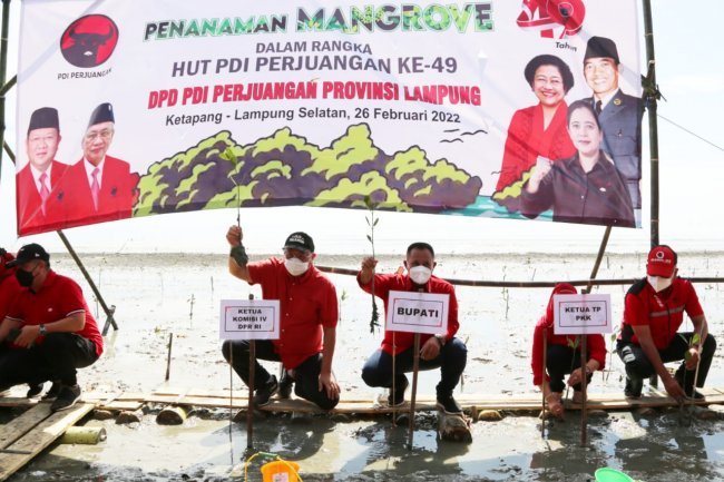 Penanaman Mangrove di Desa Ketapang Lampung Selatan