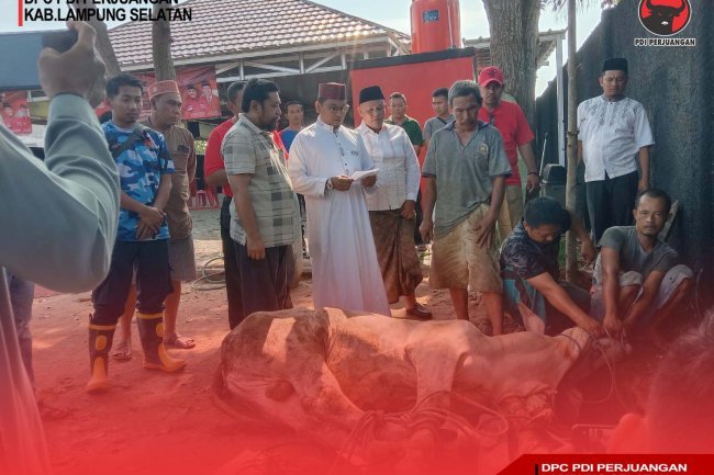 Rayakan Idul Adha DPC PDI Perjuangan Kabupaten Lampung Selatan Bagikan Daging Kurban