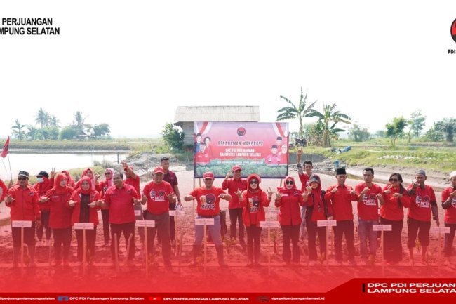 Peringati HUT RI Ke 78, DPC PDI Perjuangan Kabupaten Lampung Selatan Tanam 4.000 Bibit Pohon Mangrove